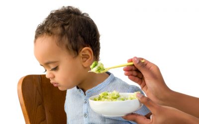 Autism Spectrum Disorders (ASD) and Diet